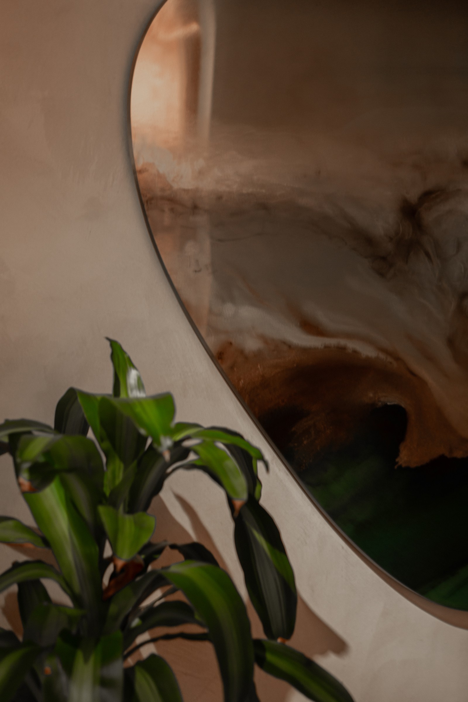 Mirror and plant vignette, warm