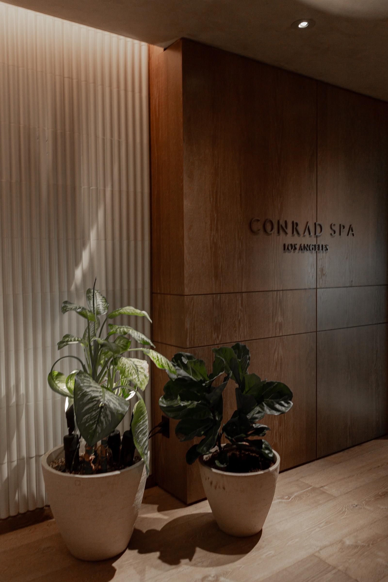 Spa signage wall, plants