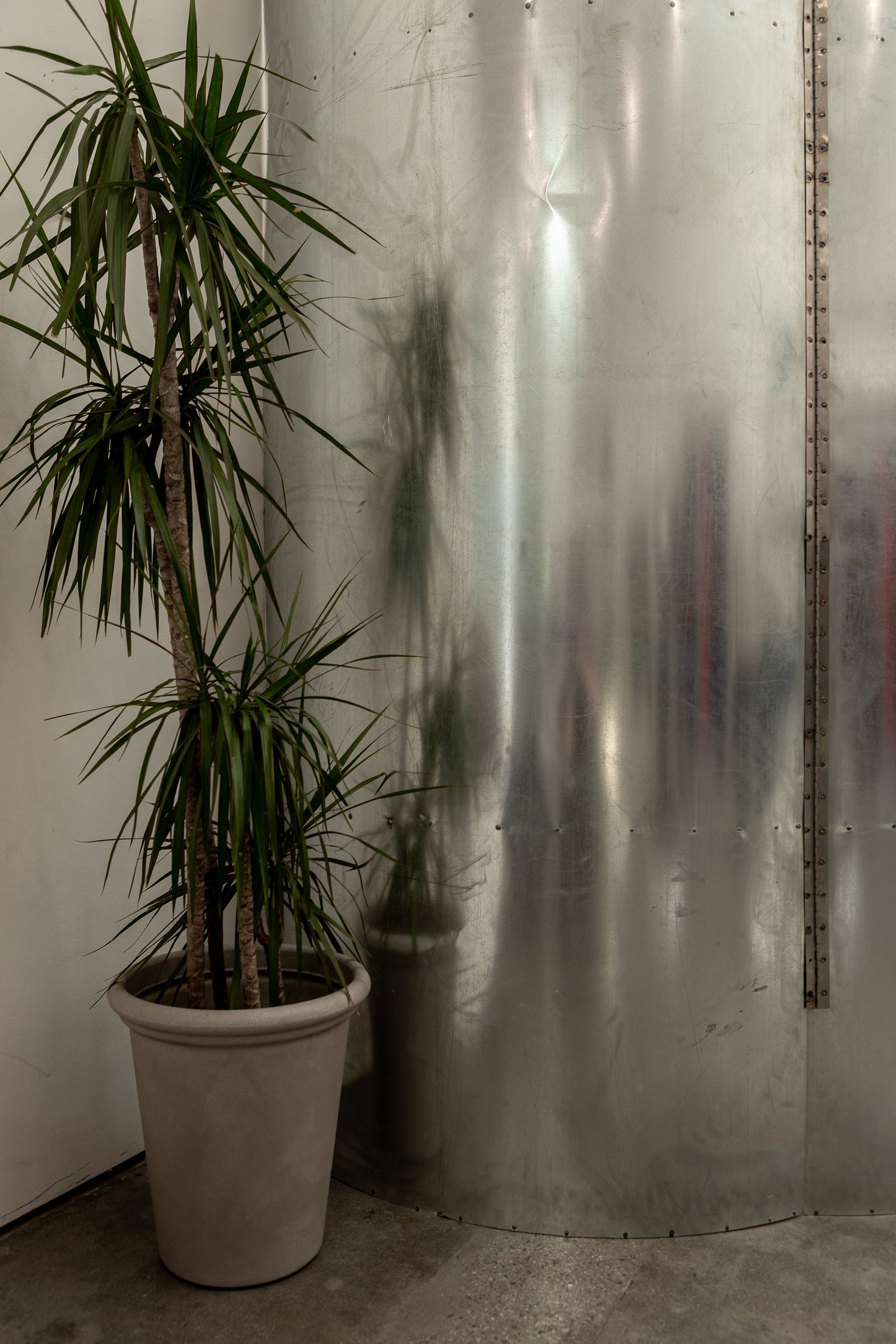 Plant and steel cylinder