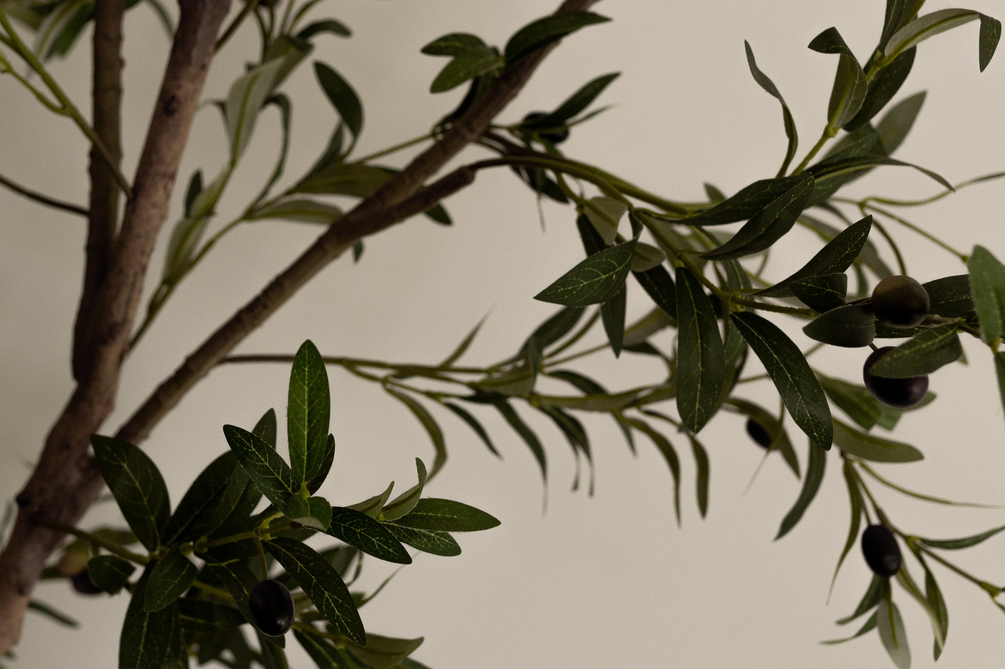 Olive branch, detail