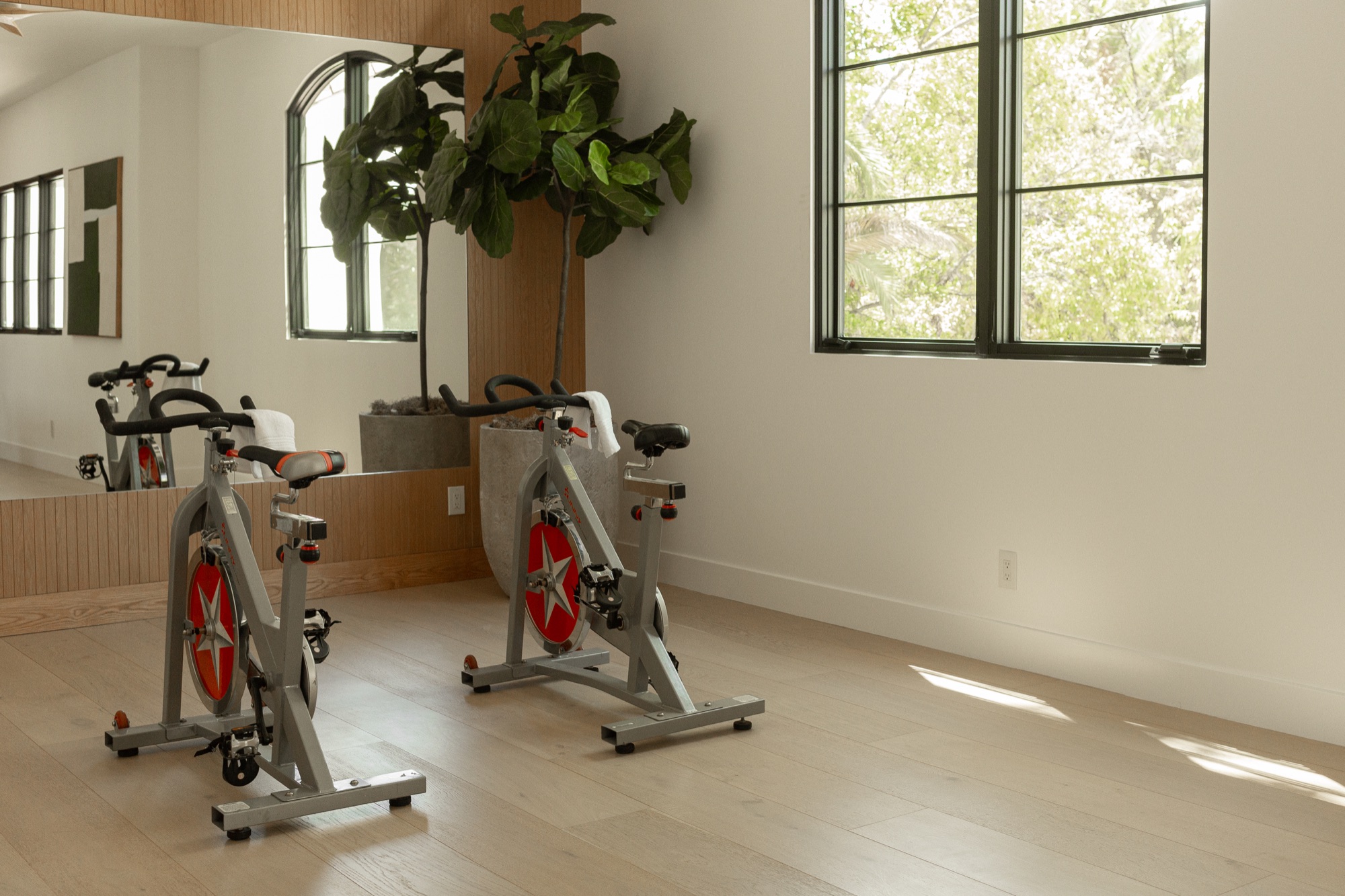 Home gym, stationary bikes